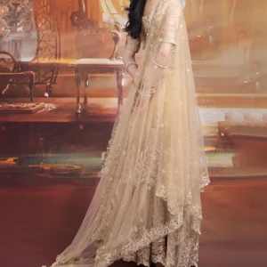 Indian Traditional Clothes Female Bollywood Dance Golden Saree Suit Oriental Dance Stage Performance Costumes For Women DQL6466