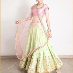 Original Embroidered Sari Indian Women's Dance Dress Lenha Set